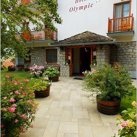 Hotel Olympic Metsovo Exteriér fotografie