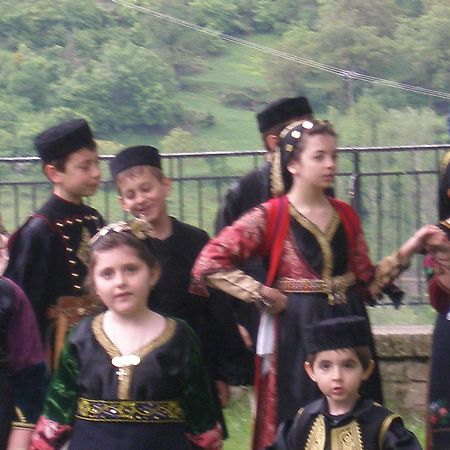 Hotel Olympic Metsovo Exteriér fotografie