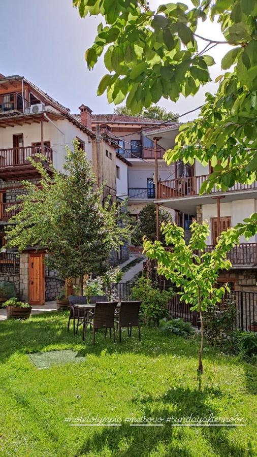 Hotel Olympic Metsovo Exteriér fotografie