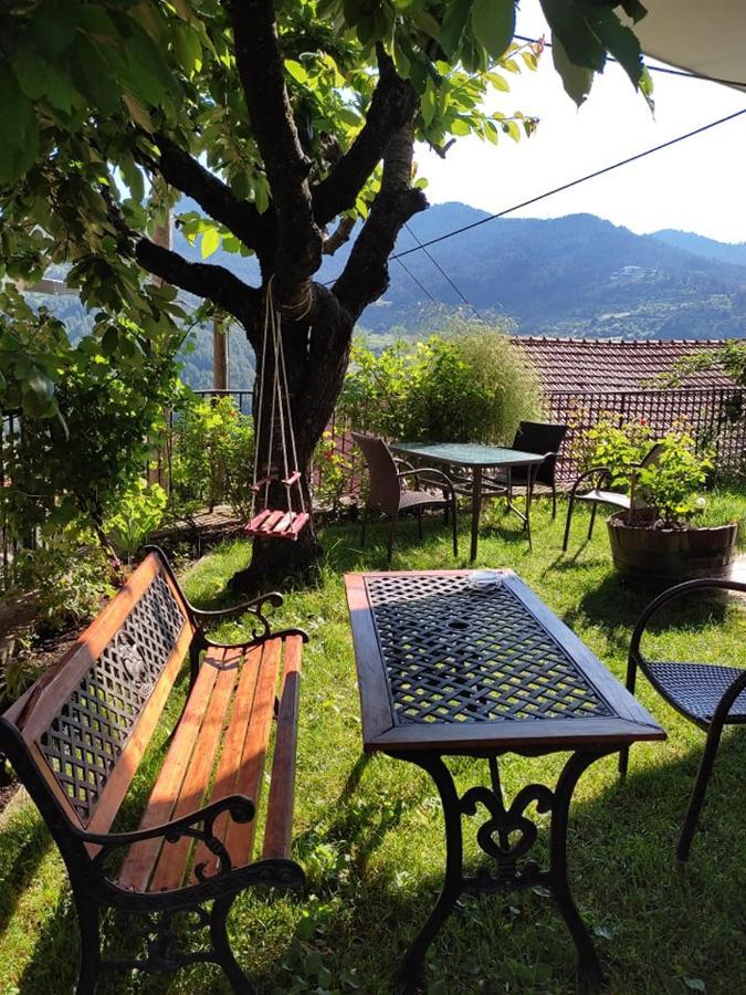 Hotel Olympic Metsovo Exteriér fotografie