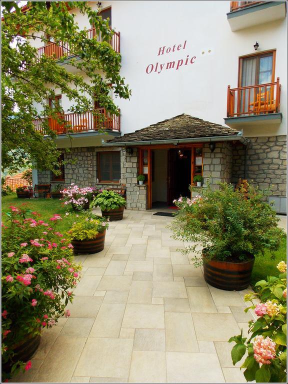 Hotel Olympic Metsovo Exteriér fotografie