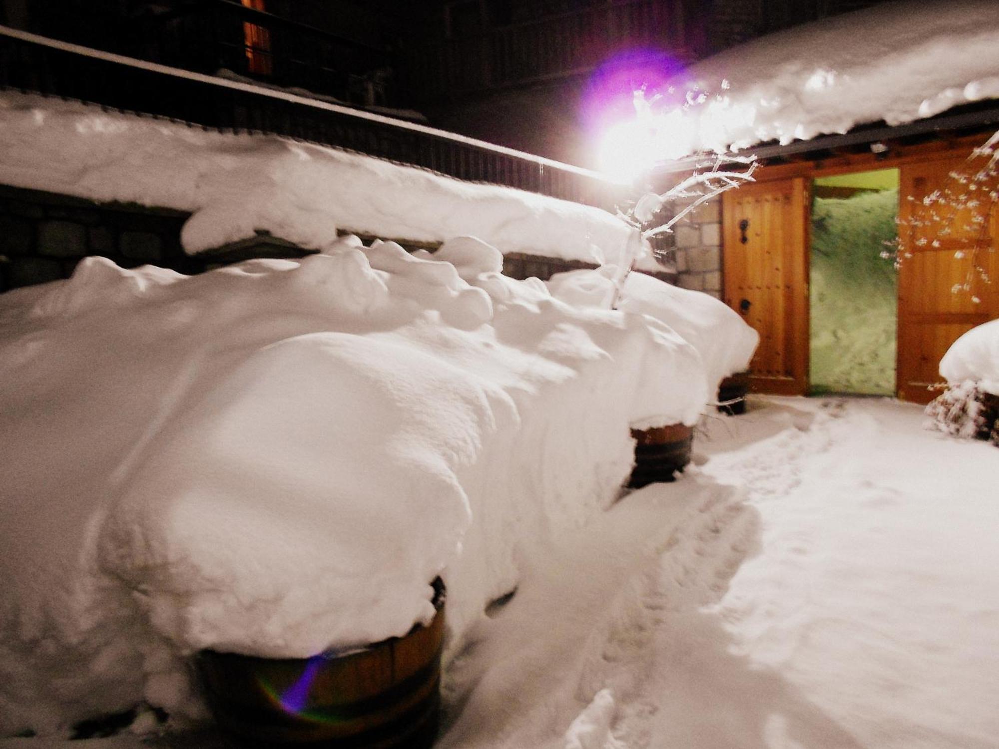 Hotel Olympic Metsovo Exteriér fotografie