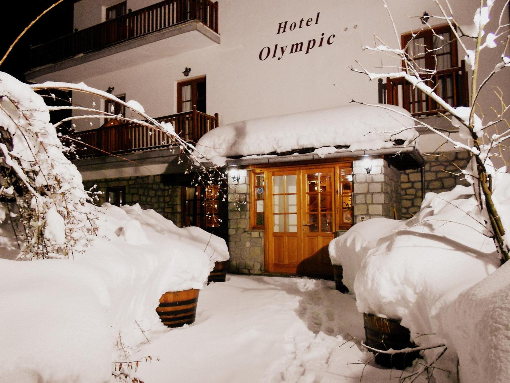 Hotel Olympic Metsovo Exteriér fotografie