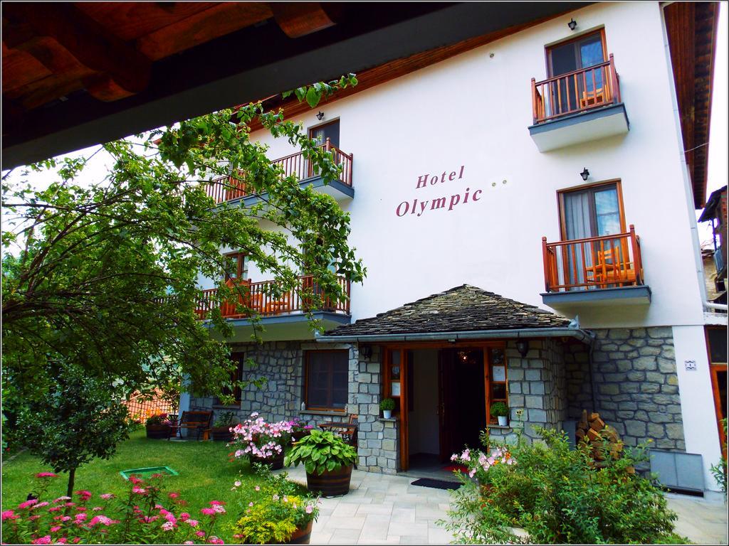 Hotel Olympic Metsovo Exteriér fotografie