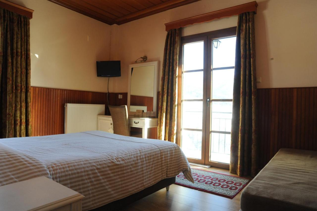 Hotel Olympic Metsovo Exteriér fotografie