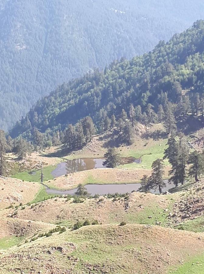 Hotel Olympic Metsovo Exteriér fotografie