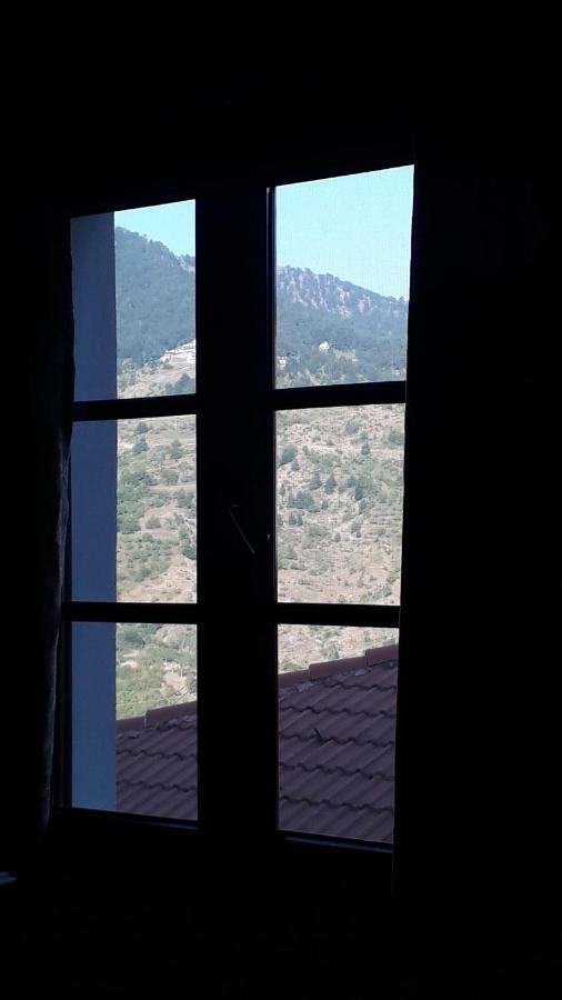 Hotel Olympic Metsovo Exteriér fotografie